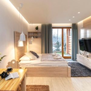 Apartament typu studio